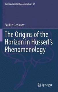 bokomslag The Origins of the Horizon in Husserls Phenomenology