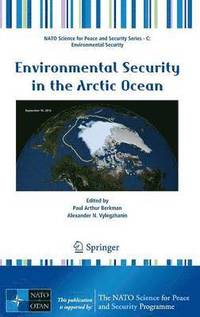 bokomslag Environmental Security in the Arctic Ocean