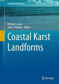 bokomslag Coastal Karst Landforms