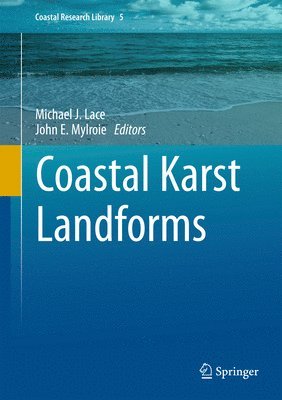 Coastal Karst Landforms 1