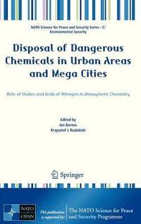 bokomslag Disposal of Dangerous Chemicals in Urban Areas and Mega Cities