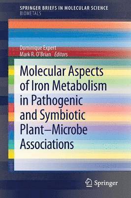 bokomslag Molecular Aspects of Iron Metabolism in Pathogenic and Symbiotic Plant-Microbe Associations