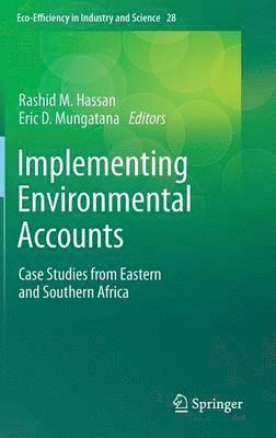 Implementing Environmental Accounts 1