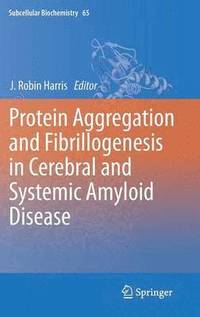 bokomslag Protein Aggregation and Fibrillogenesis in Cerebral and Systemic Amyloid Disease