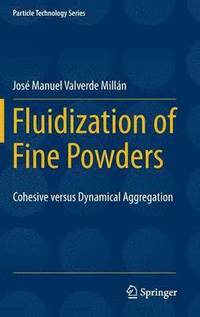 bokomslag Fluidization of Fine Powders