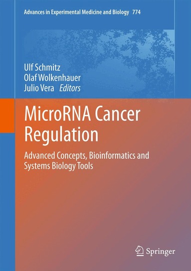 Ulf Schmitz, Olaf Wolkenhauer, Julio Vera - MicroRNA Cancer Regulation, Inbunden