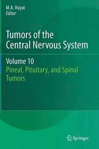 bokomslag Tumors of the Central Nervous System, Volume 10