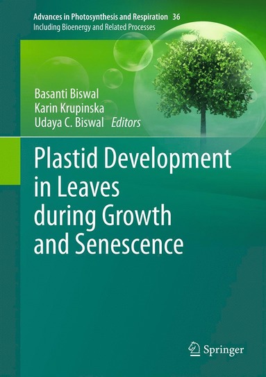 bokomslag Plastid Development in Leaves during Growth and Senescence