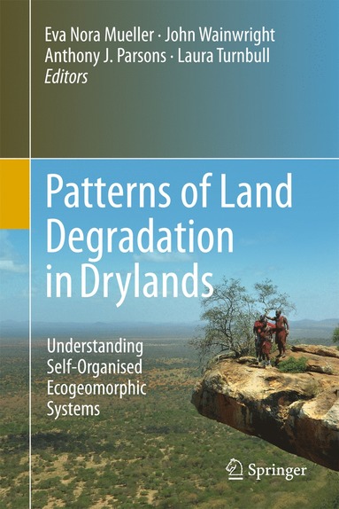 bokomslag Patterns of Land Degradation in Drylands