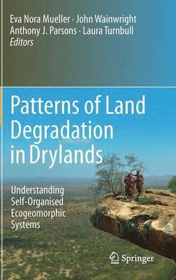 Patterns of Land Degradation in Drylands 1