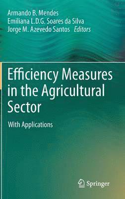 bokomslag Efficiency Measures in the Agricultural Sector