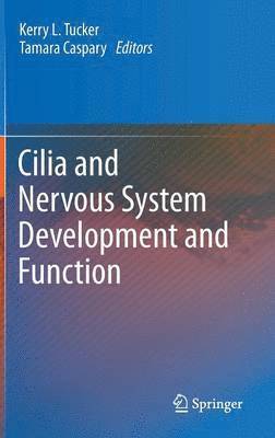 bokomslag Cilia and Nervous System Development and Function