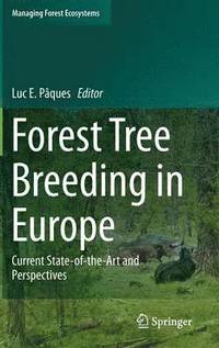 bokomslag Forest Tree Breeding in Europe