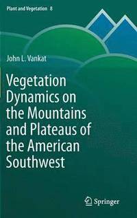 bokomslag Vegetation Dynamics on the Mountains and Plateaus of the American Southwest
