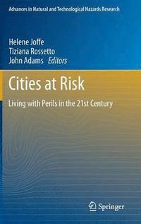 bokomslag Cities at Risk