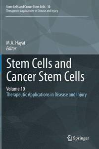 bokomslag Stem Cells and Cancer Stem Cells, Volume 10