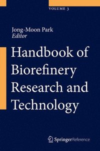 bokomslag Handbook of Biorefinery Research and Technology