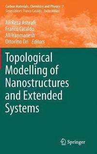 bokomslag Topological Modelling of Nanostructures and Extended Systems