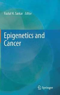 bokomslag Epigenetics and Cancer