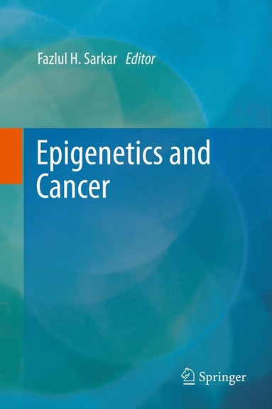 bokomslag Epigenetics and Cancer