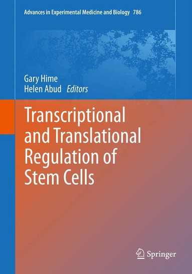 Gary Hime, Helen Abud - Transcriptional and Translational Regulation of Stem Cells, Inbunden
