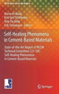 bokomslag Self-Healing Phenomena in Cement-Based Materials