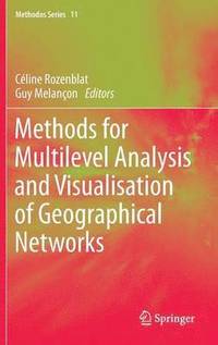 bokomslag Methods for Multilevel Analysis and Visualisation of Geographical Networks