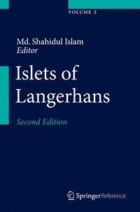 bokomslag Islets of Langerhans