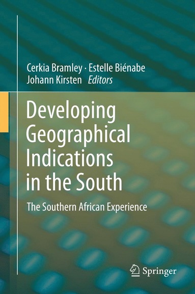 bokomslag Developing Geographical Indications in the South