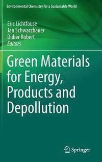 bokomslag Green Materials for Energy, Products and Depollution