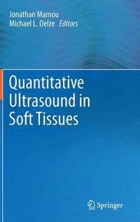 bokomslag Quantitative Ultrasound in Soft Tissues