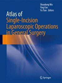 bokomslag Atlas of Single-Incision Laparoscopic Operations in General Surgery