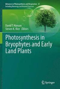 bokomslag Photosynthesis in Bryophytes and Early Land Plants