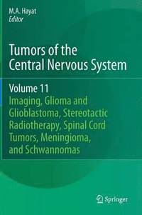 bokomslag Tumors of the Central Nervous System, Volume 11