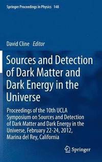 bokomslag Sources and Detection of Dark Matter and Dark Energy in the Universe