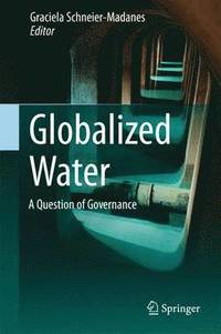 bokomslag Globalized Water