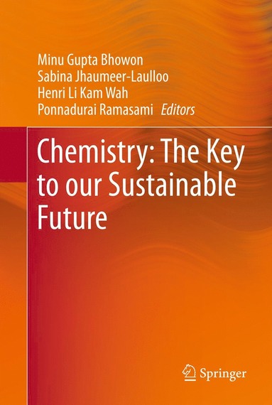 bokomslag Chemistry: The Key to our Sustainable Future