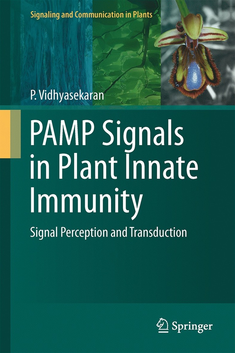 PAMP Signals in Plant Innate Immunity