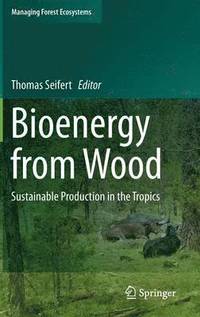 bokomslag Bioenergy from Wood