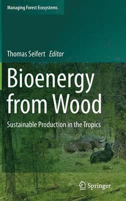 bokomslag Bioenergy from Wood