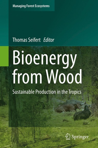 bokomslag Bioenergy from Wood