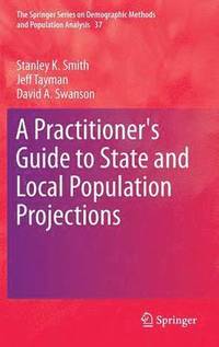 bokomslag A Practitioner's Guide to State and Local Population Projections
