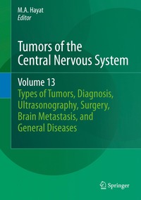 bokomslag Tumors of the Central Nervous System, Volume 13