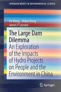 bokomslag The Large Dam Dilemma