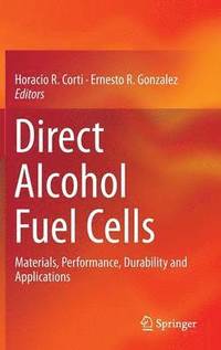 bokomslag Direct Alcohol Fuel Cells