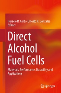 bokomslag Direct Alcohol Fuel Cells