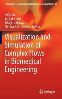bokomslag Visualization and Simulation of Complex Flows in Biomedical Engineering