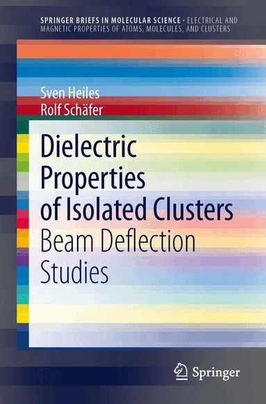 Sven Heiles, Rolf Schäfer - Dielectric Properties of Isolated Clusters, Häftad