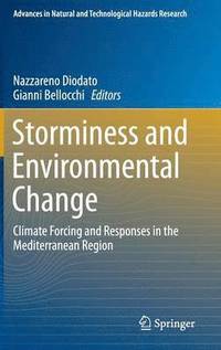 bokomslag Storminess and Environmental Change