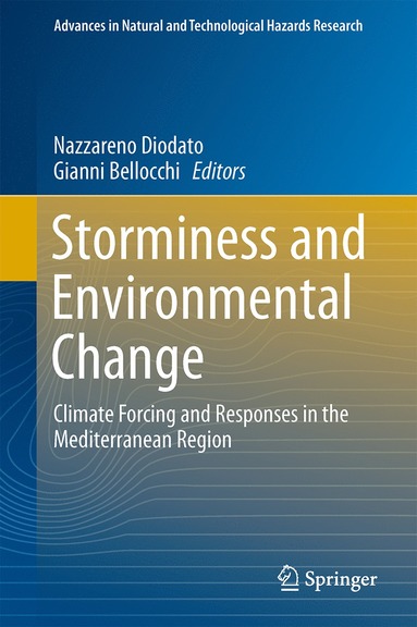 bokomslag Storminess and Environmental Change